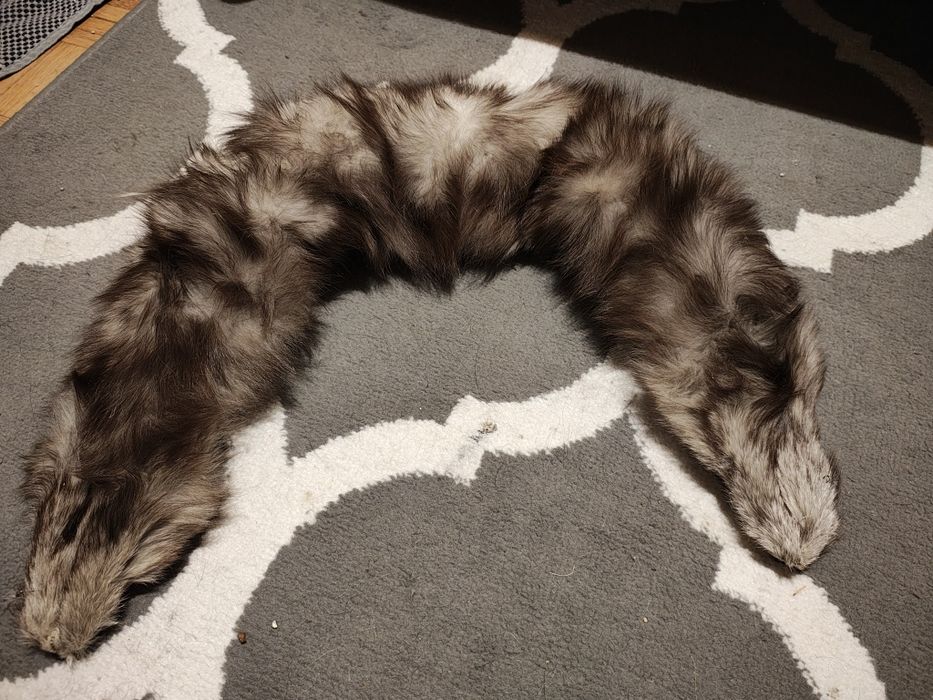 Kołnierz szalik z lisa