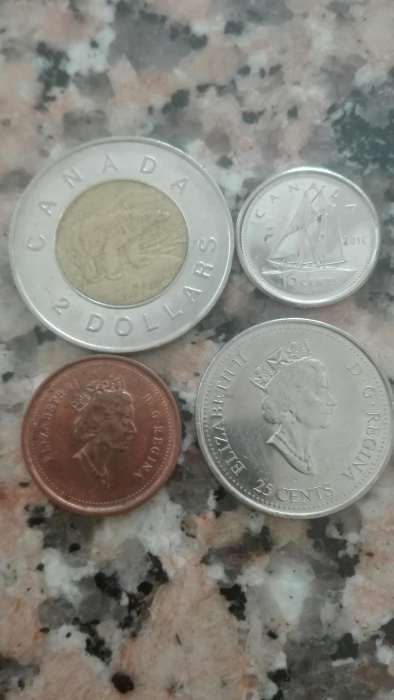 Moedas de dólares canadianos