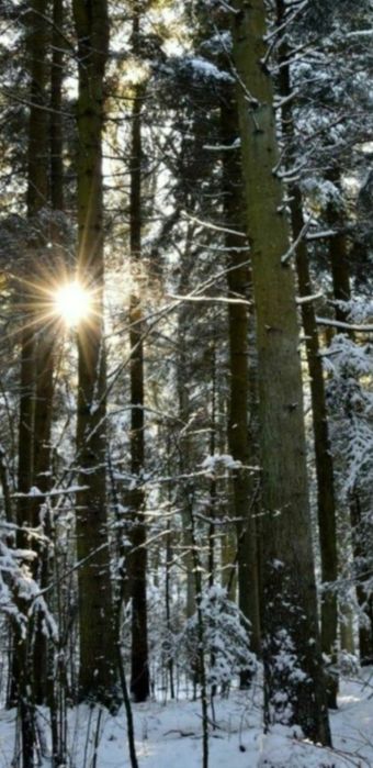 13500.m2 przy drodze krajowej nr9 MERCEDES GLE COUPE lub inny ciekawy