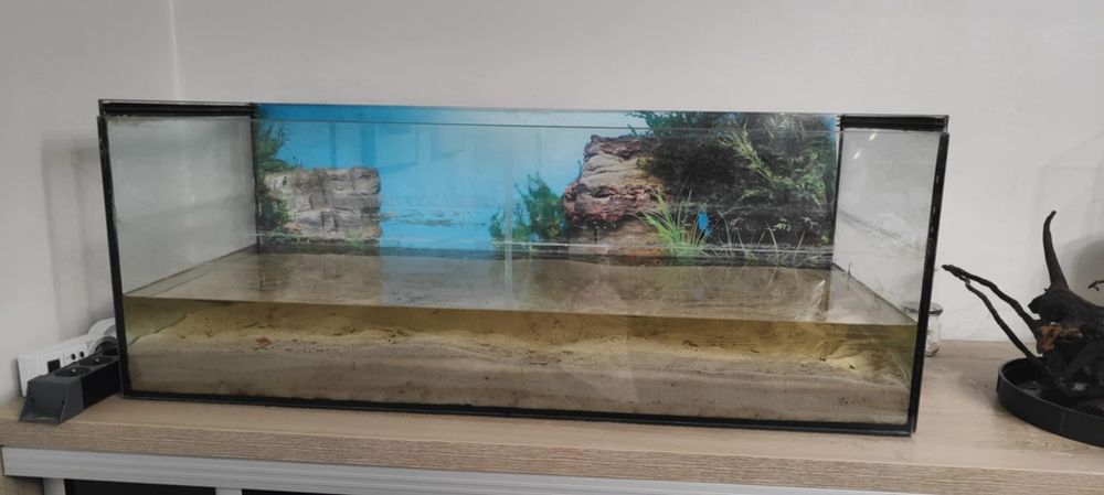 Pilne! Akwarium terrarium 140 litrów