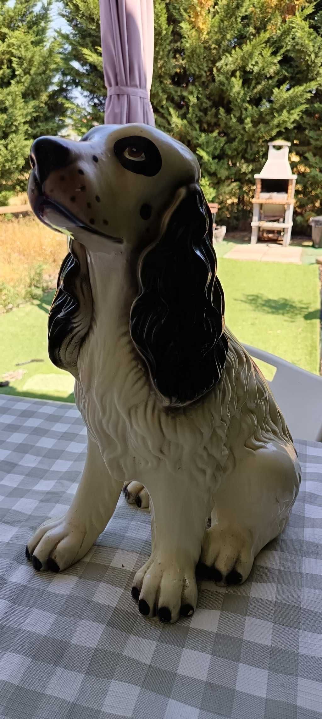 Joe (o Cocker de loiça)