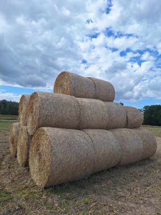 Sprzedam słome z 2025 roku