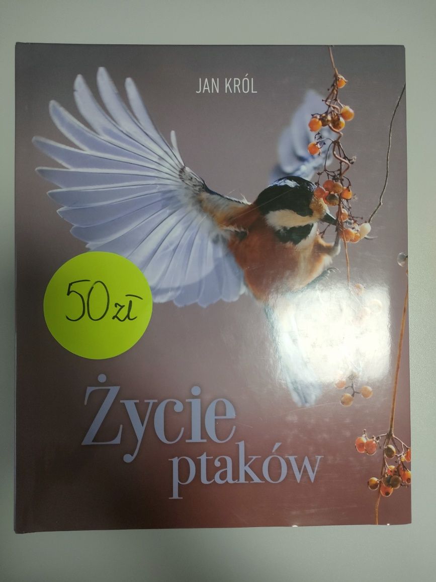 "Życie ptaków" J.Król