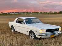 Ty prowadzisz! Wynajem Mustang Mustang do ślubu Mustangiem do ślubu
