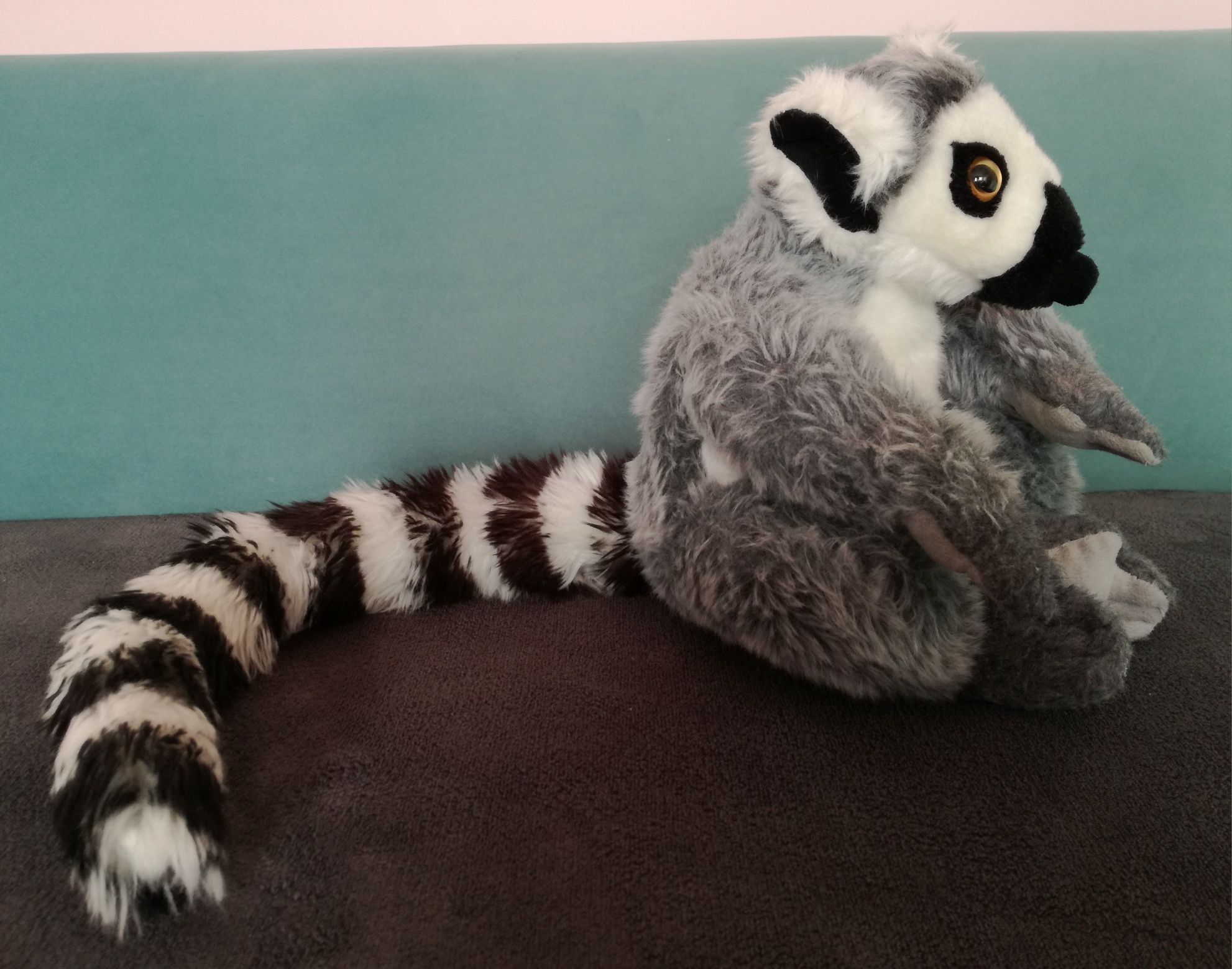 Maskotka, duży Lemur