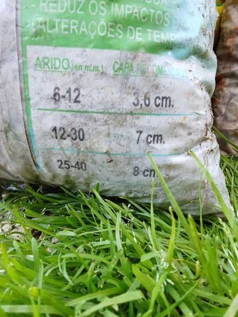 Rochas Decorativas Jardim e Leca