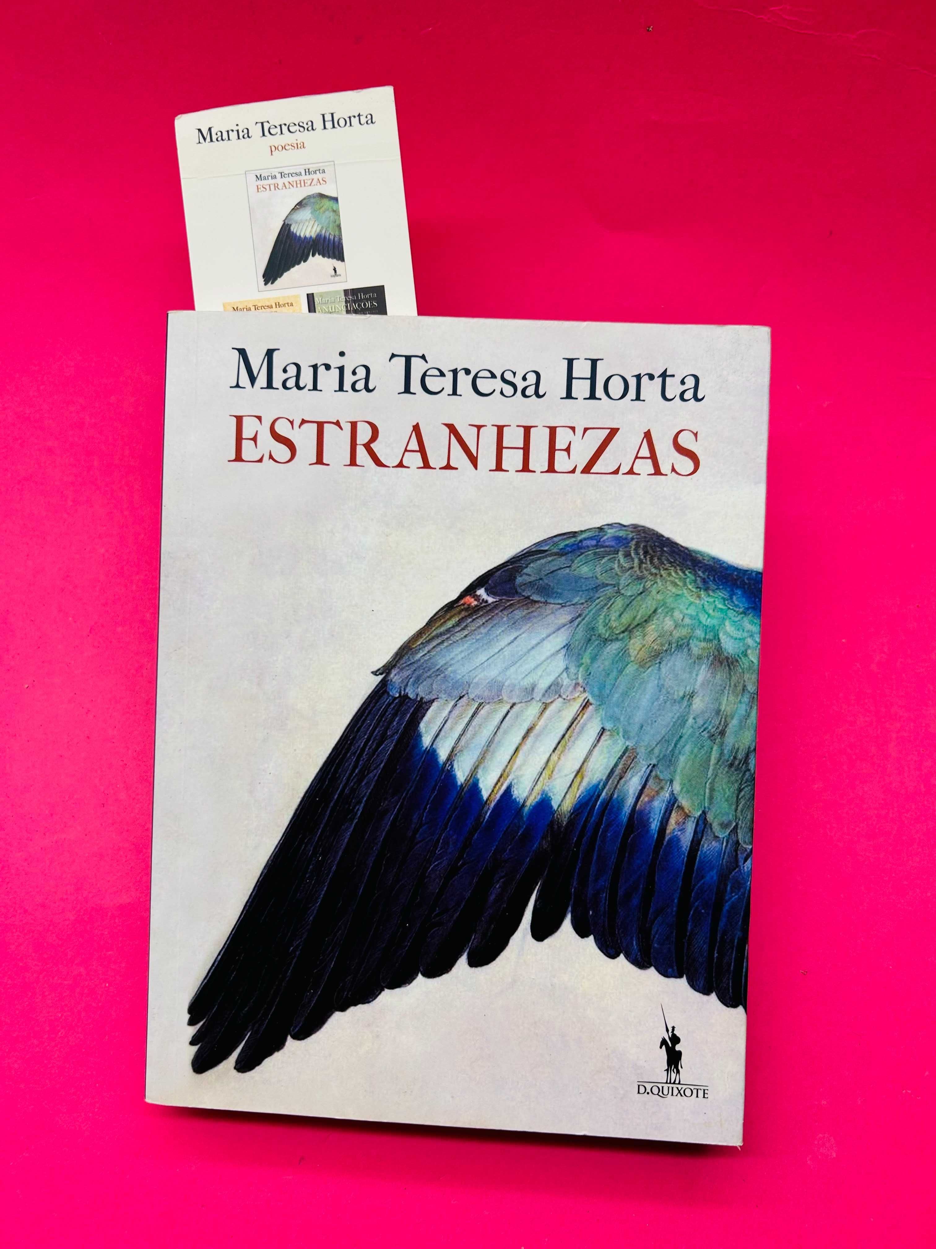 Estranhezas - Maria Teresa Horta