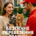 Перевозка животных котов собак по Украине и Европе перевезення тварин