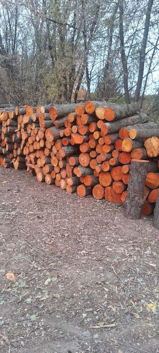 Продам.    дрова