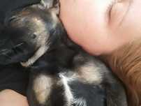 Petsitter Warszawa, hotel dla psa, opieka nad psem, opieka nad kotem