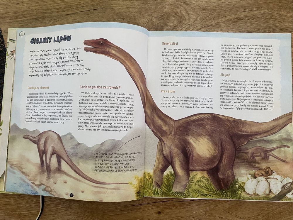 Książka o dinozaurach dla dzieci