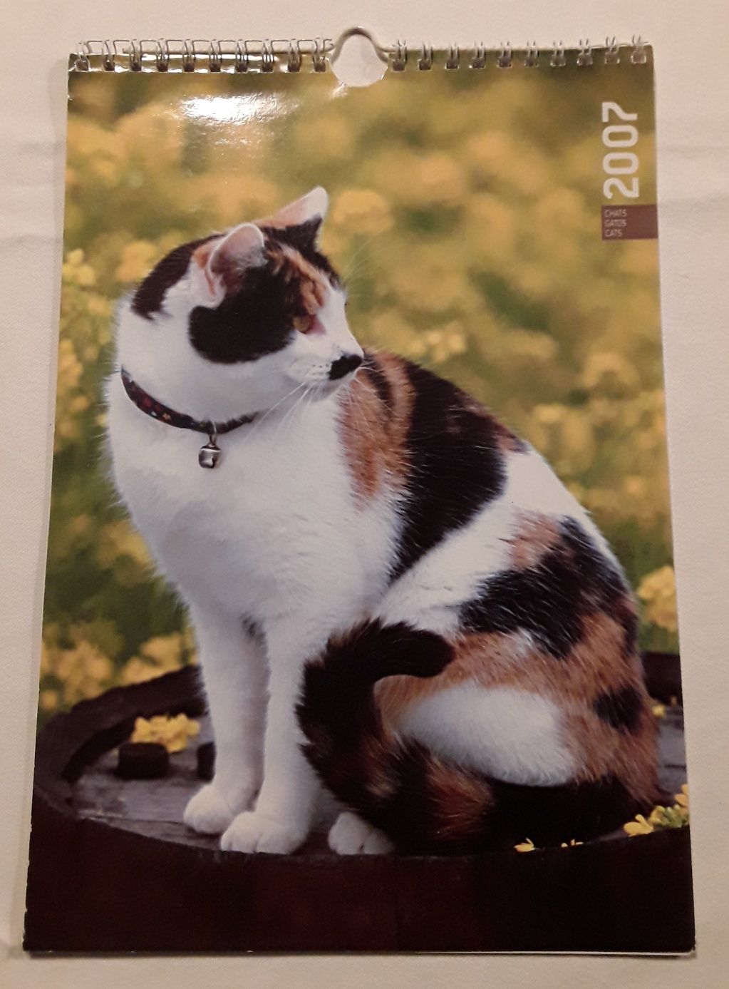 Calendário de parede com gatos do ano 2007