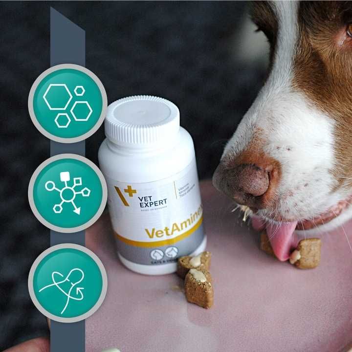 Vet Expert VetAminex witaminy / minerały dla Psa i Kota 60 Kap x 2 op