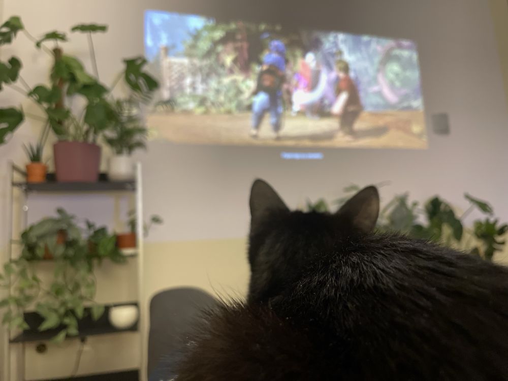 Rzutnik projektor EPSON EH-TW750 home projector