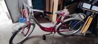 Bicicleta holandesa jovens