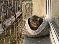 Montaz siatki dla kota osiatkowanie zabezpieczenie balkonu taras