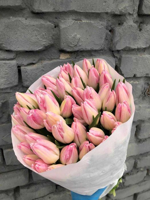Тюльпан на зріз Опт 38грн