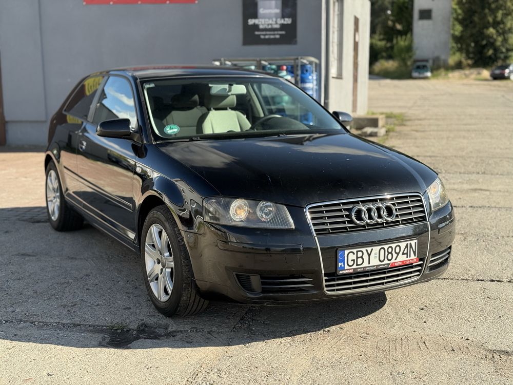 Audi A3 8P 1.9 TDI 140KM Sprowadzony ZAREJESTROWANY Klima BOSE Alu HAK