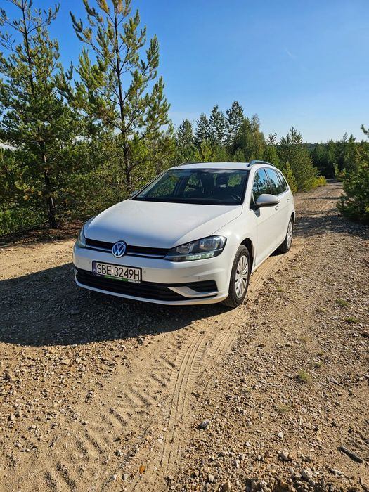Volkswagen Golf VW GOLF VII 1.6 TDI 116KM  I 2019 I Polski Salon I Serwis ASO I