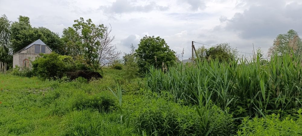 м. Рожище, Земельна ділянка.