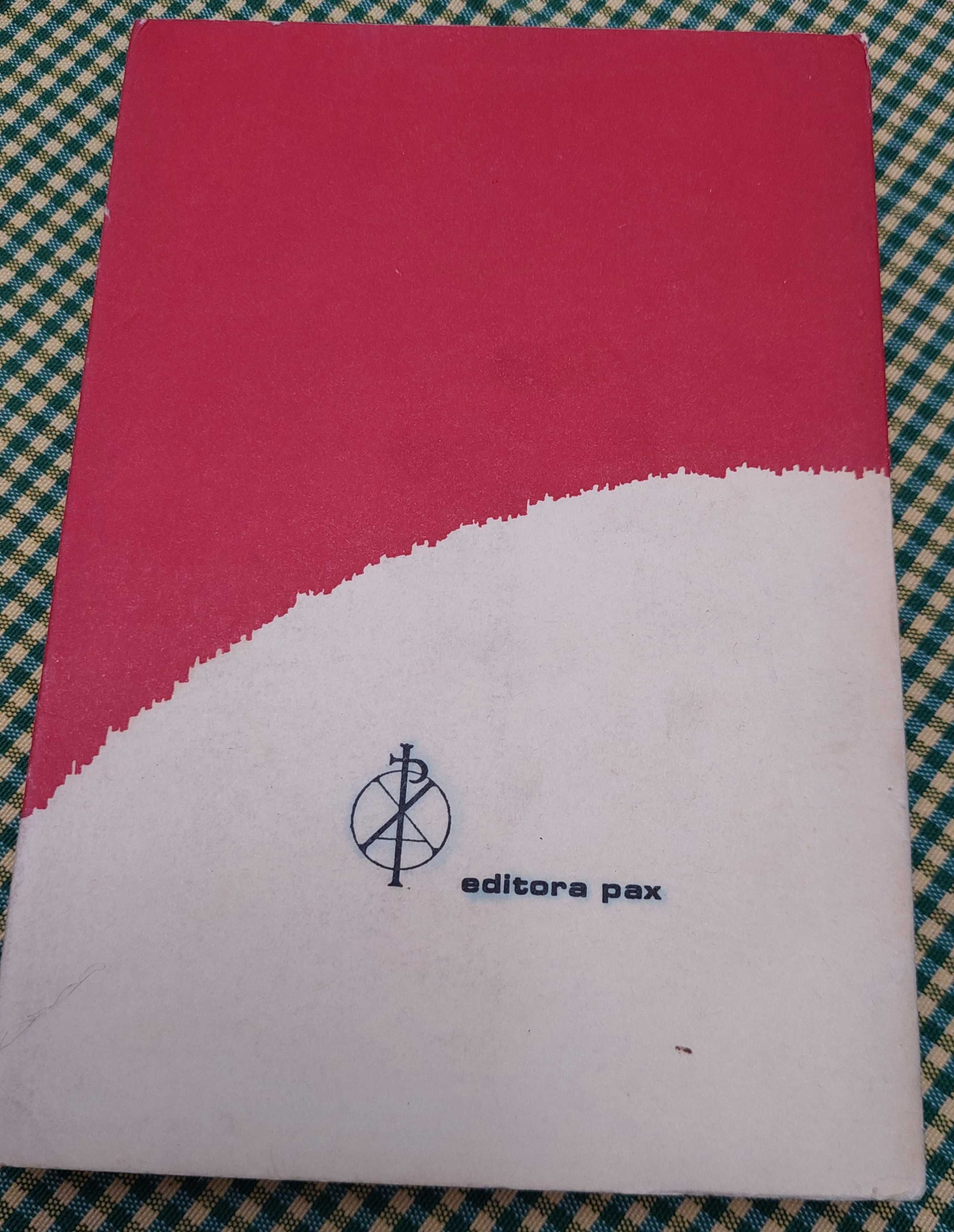 Autografado - Ilhas cercadas, Maria do Carmo Pinheiro Torres 1 edição