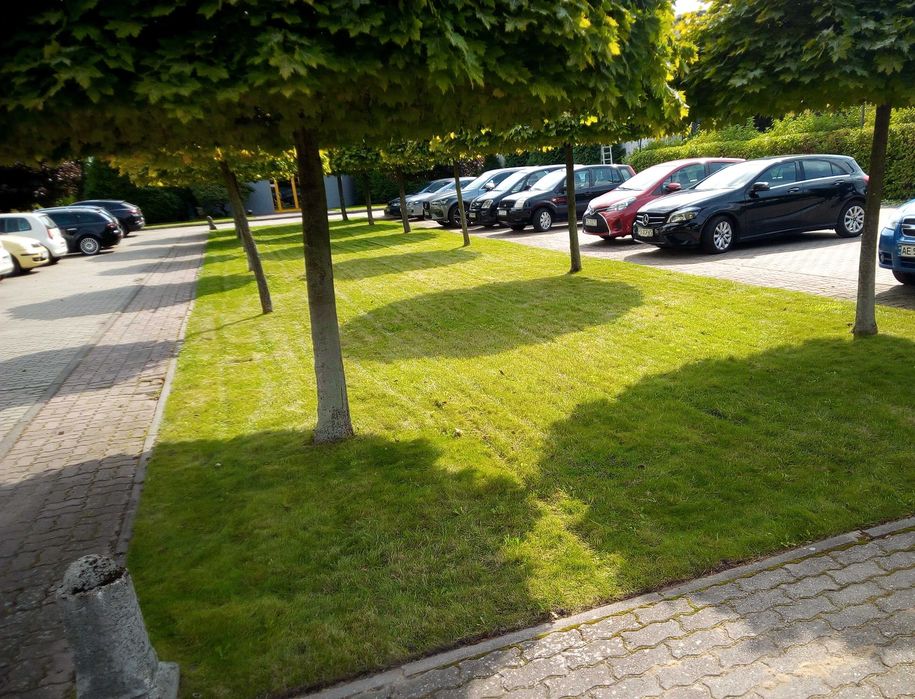 Kompleksowe usługi ogrodnicze-Zewnętrzne utrzymanie obiektów