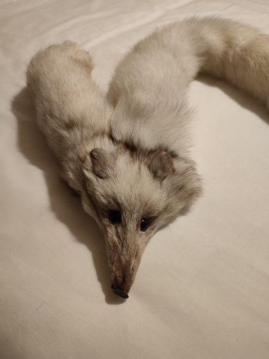 Estola de pele raposa