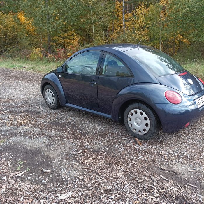 Volkswagen New Beetle