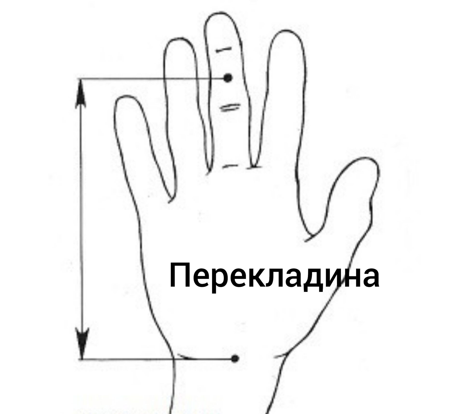 Гімнастичні накладки із натуральної шкіри.
Є будь-які розміри.