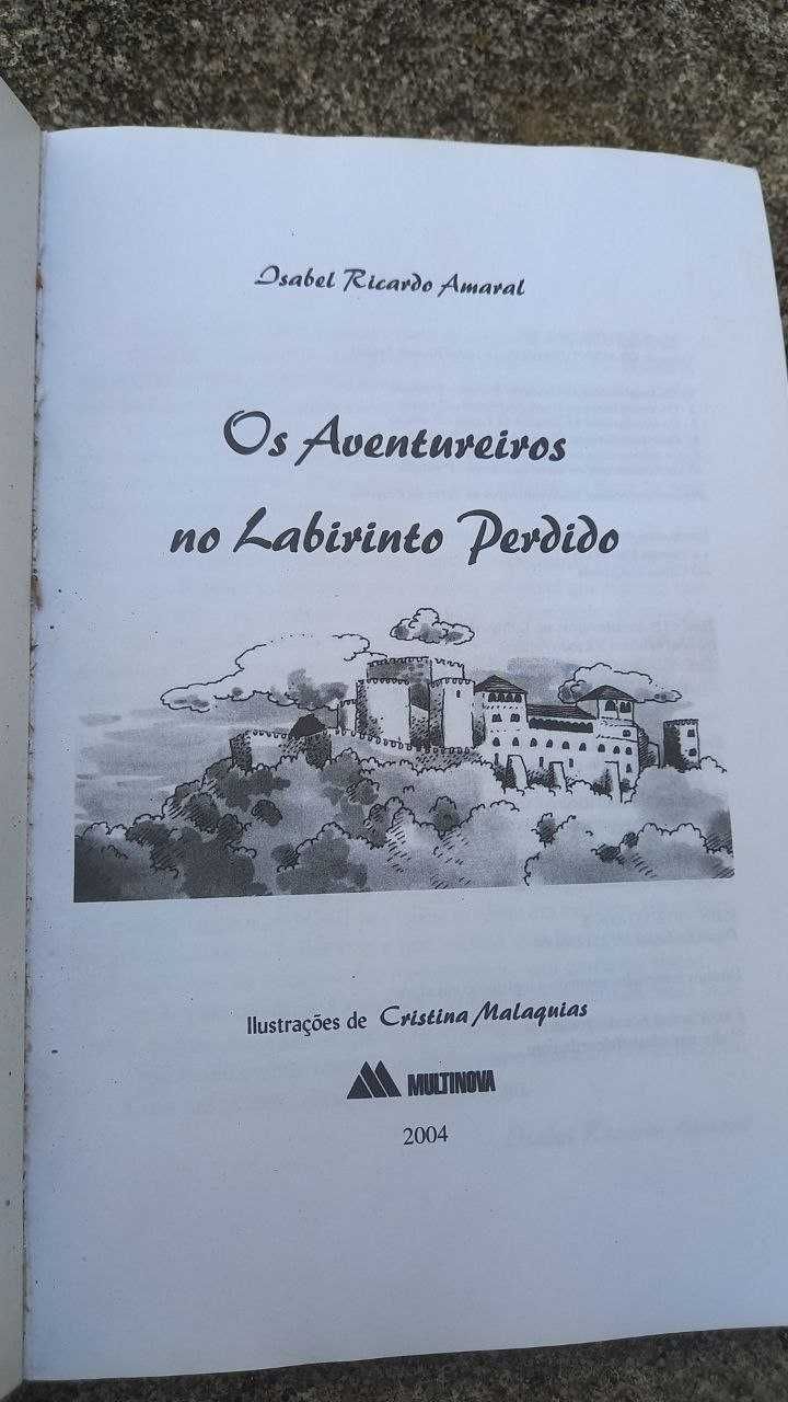 livro infantil '' os aventureiros no labirinto perdido''