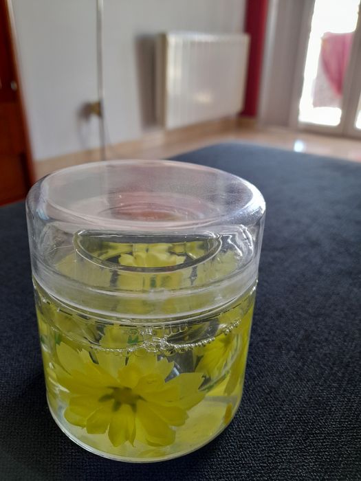 Girassóis: saco, bolsa, necessaire, 2individuais, recipiente