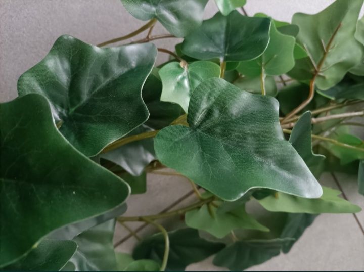 Bluszcz roślina doniczkowa, fejka Ikea 3 szt