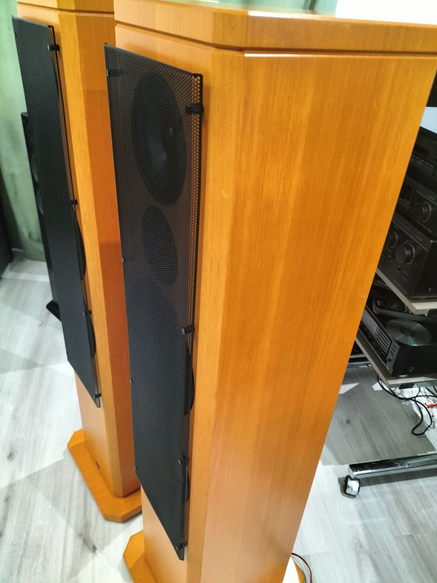 Kolumny T+A Pulsar TAE 1500E