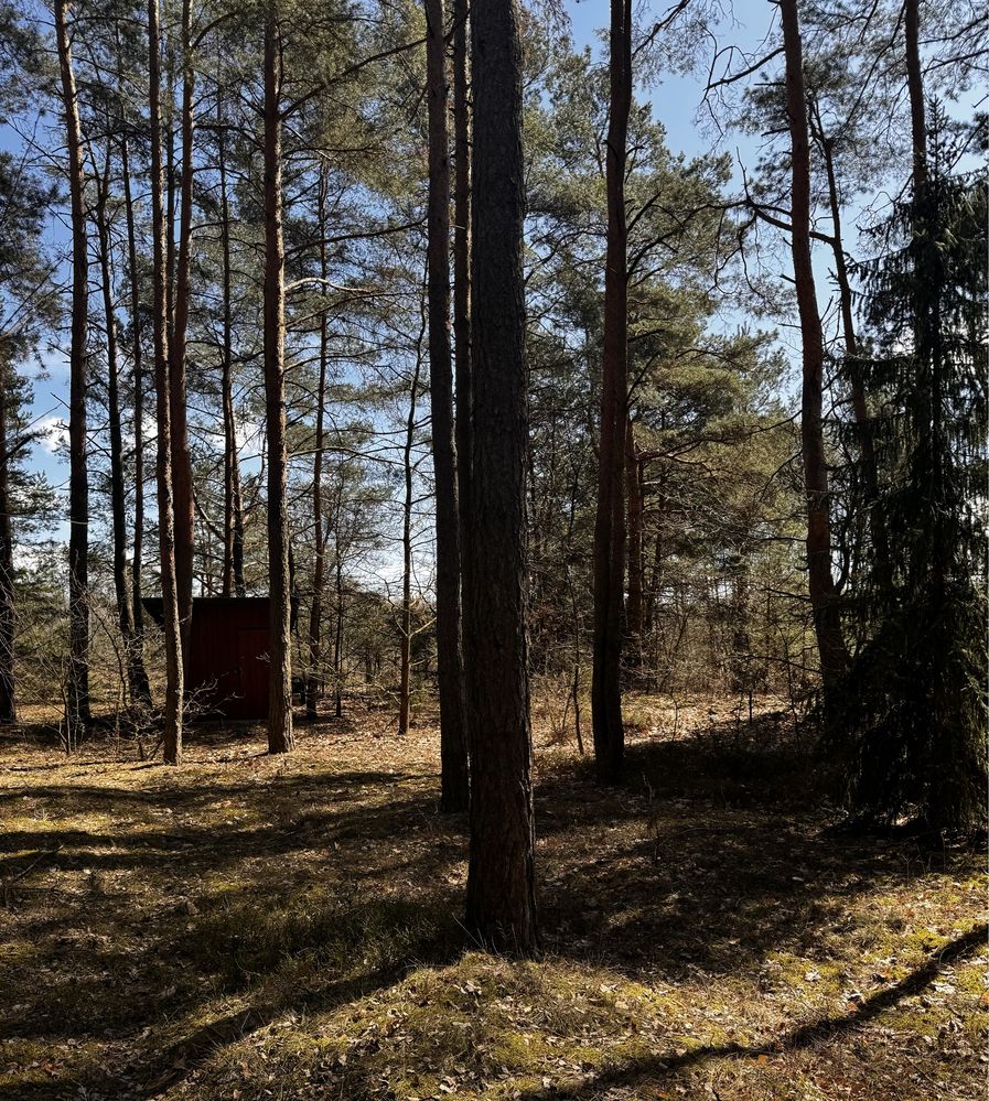 Domek nieopodal rzeki pod Warszawą na dużej działce