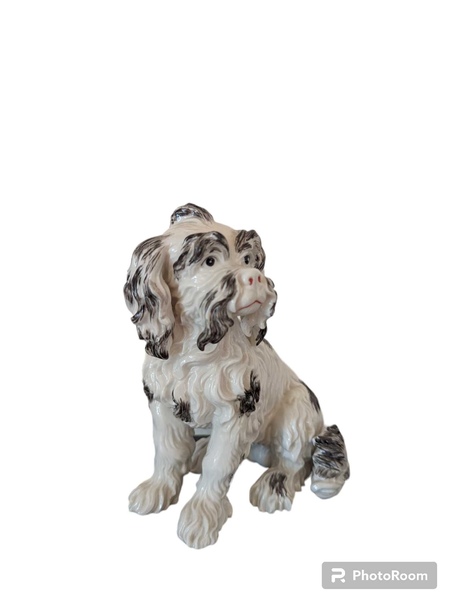 Nymphenburg Porcellan Spaniel dog