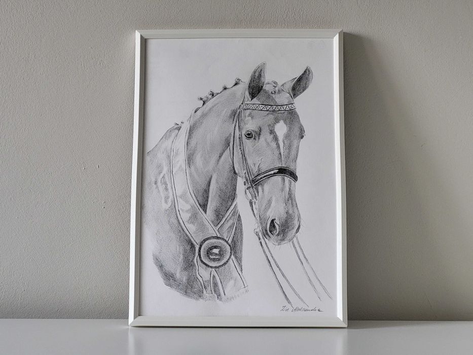 Obraz rysunek ołówkiem portret w ramce - koń sportowy