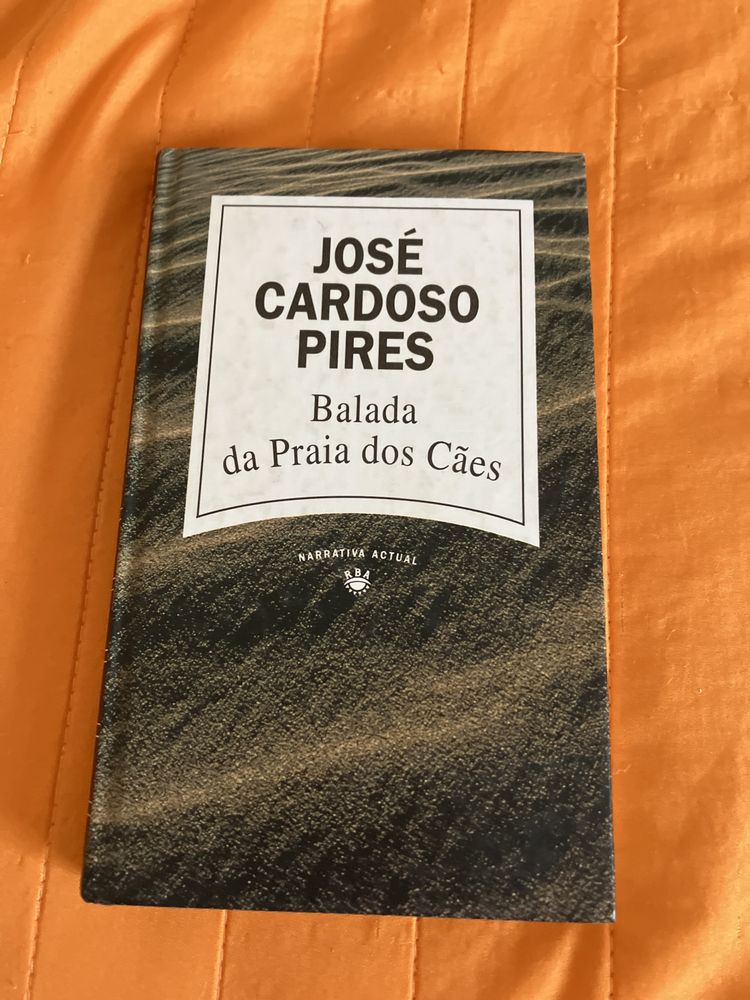 A balada da praia dos cães