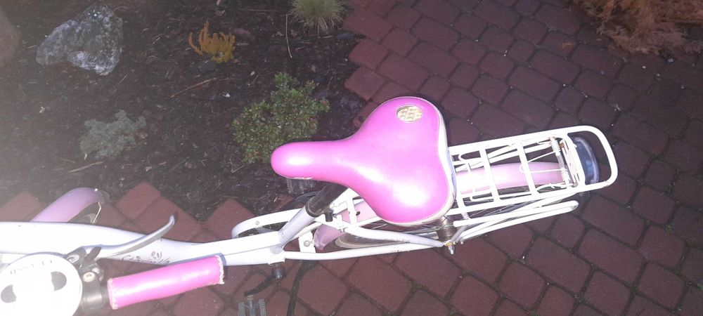 Rower daisy storm 24