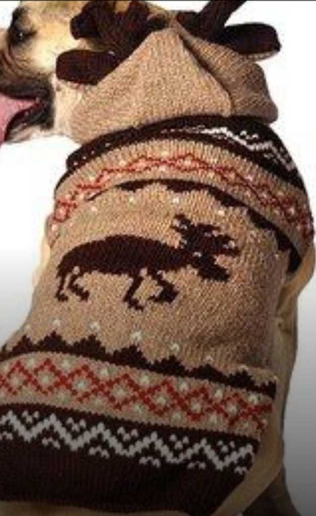 Комбинезон, свитер (одежда для собак)
