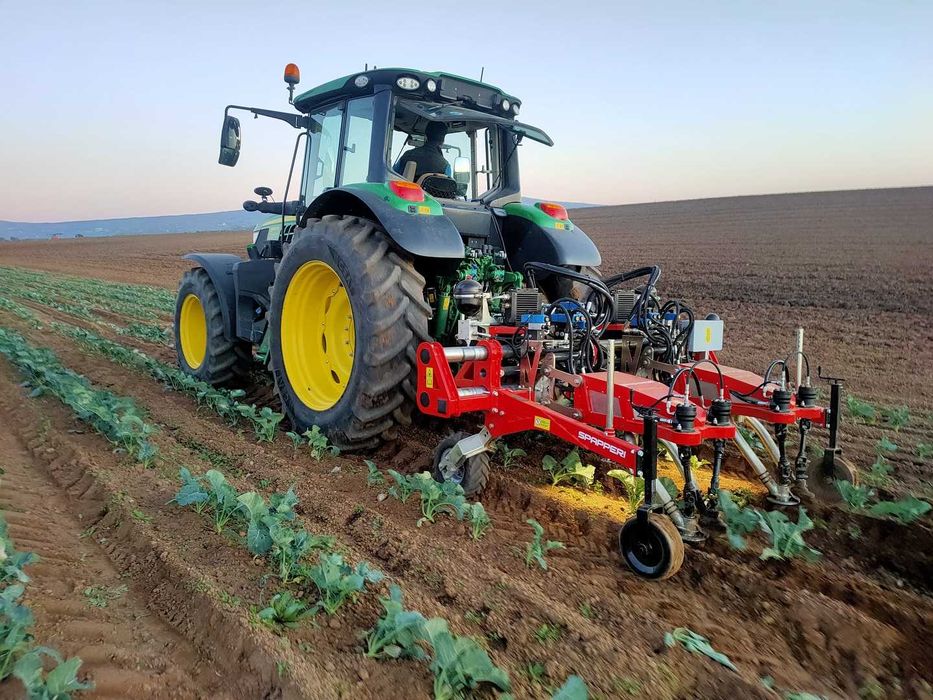 pielnik rotacyjne odchwaszczarka Spapperi  do upraw warzywnych