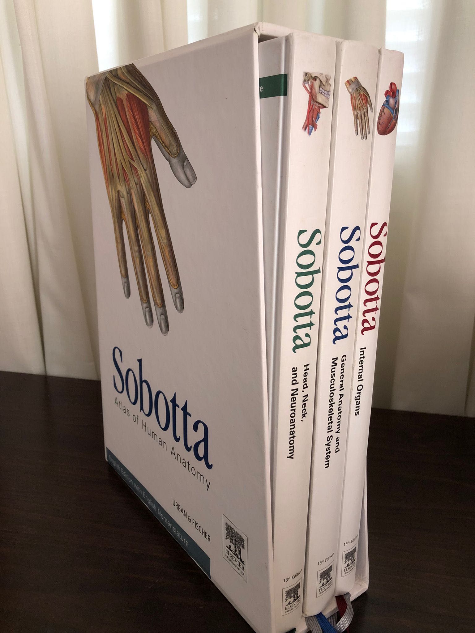 Sobotta Atlas Anatomia Humana