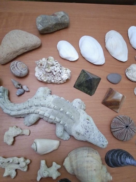 Набор,ракушки,украшения для аквариума,термометр