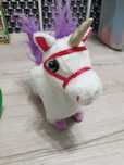 Konik pitter patter