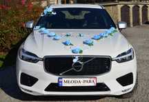 NOWA Elegancka dekoracja na auto samochód do ślubu RÓŻNE KOLORY 312