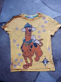 Bluzka z krótkim rękawem Scooby-Doo