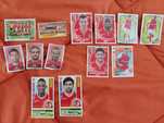 Lote com mais de 550 cromos do Sporting Clube de Braga Panini
