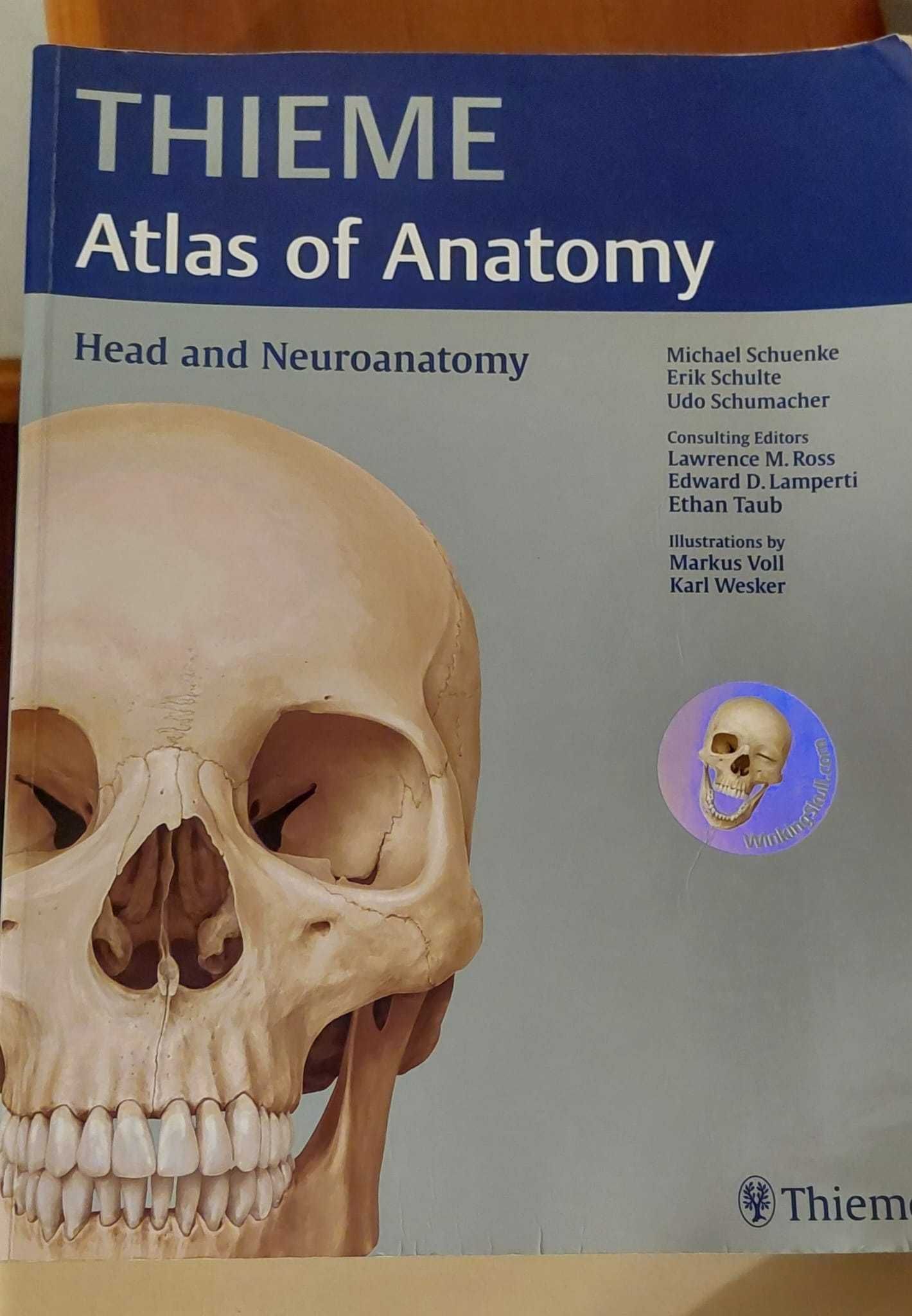 Thieme Atlas of Anatomy: Head and Neuroanatomy, 1st edition