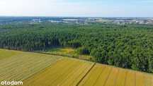 Działki pod LASEM ! Możliwość płaskich dachów ! od 806m2