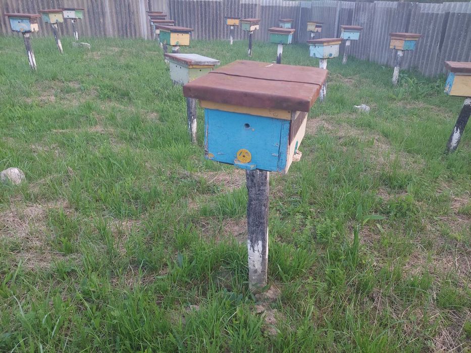 Продам інвентар для матководства: нуклеуси, вулики та інше