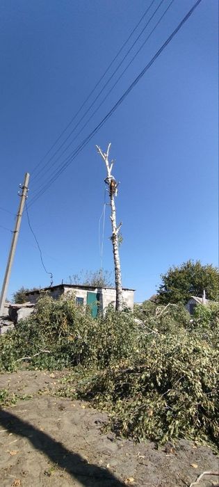 Спил деревьев, обрезка веток...